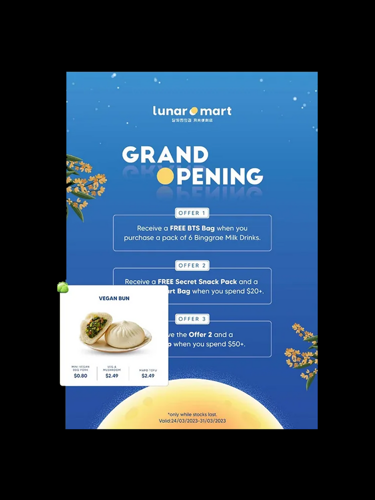 Flyer/Brochure Design