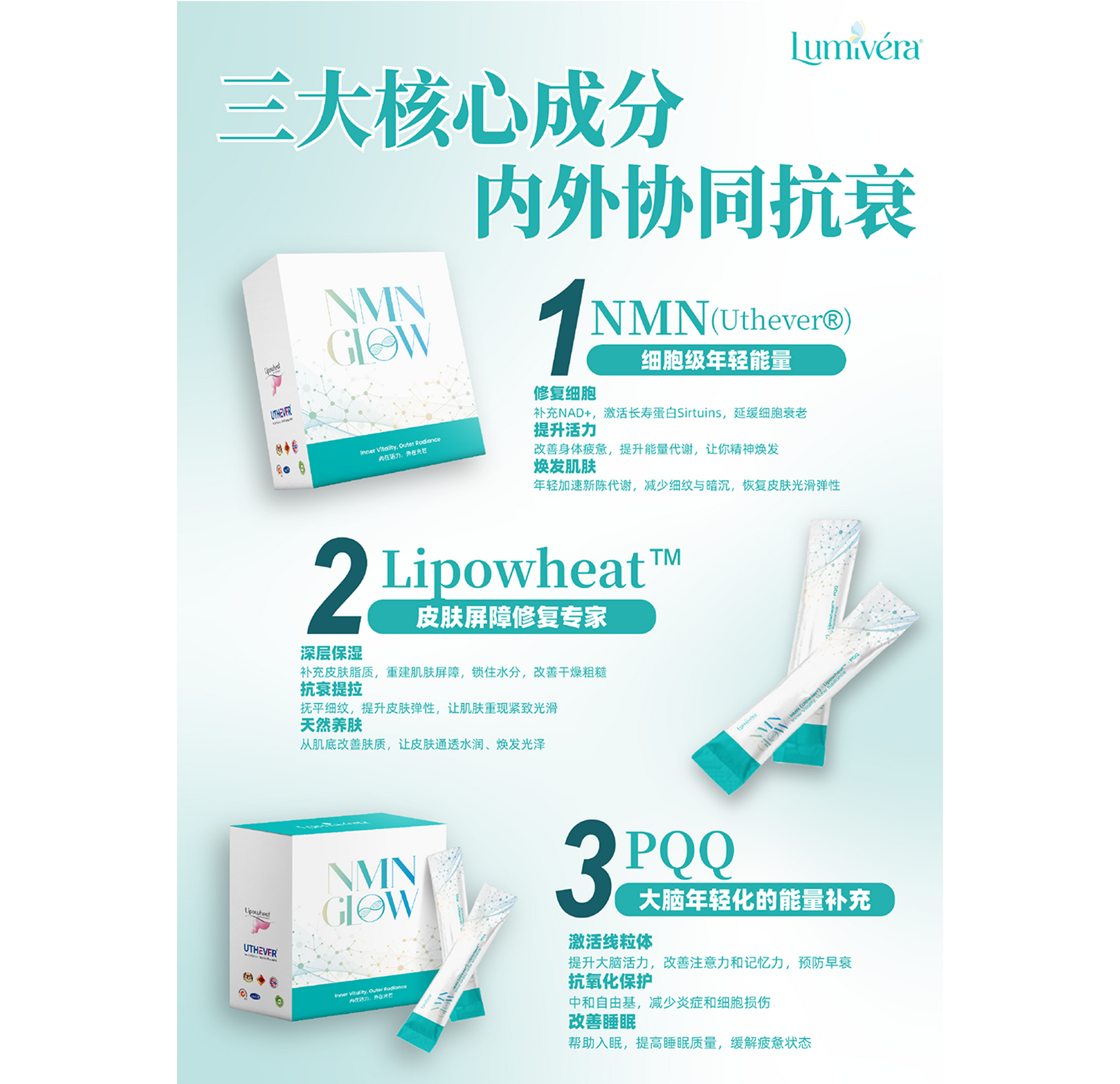POSTER DESIGN DISPLAY