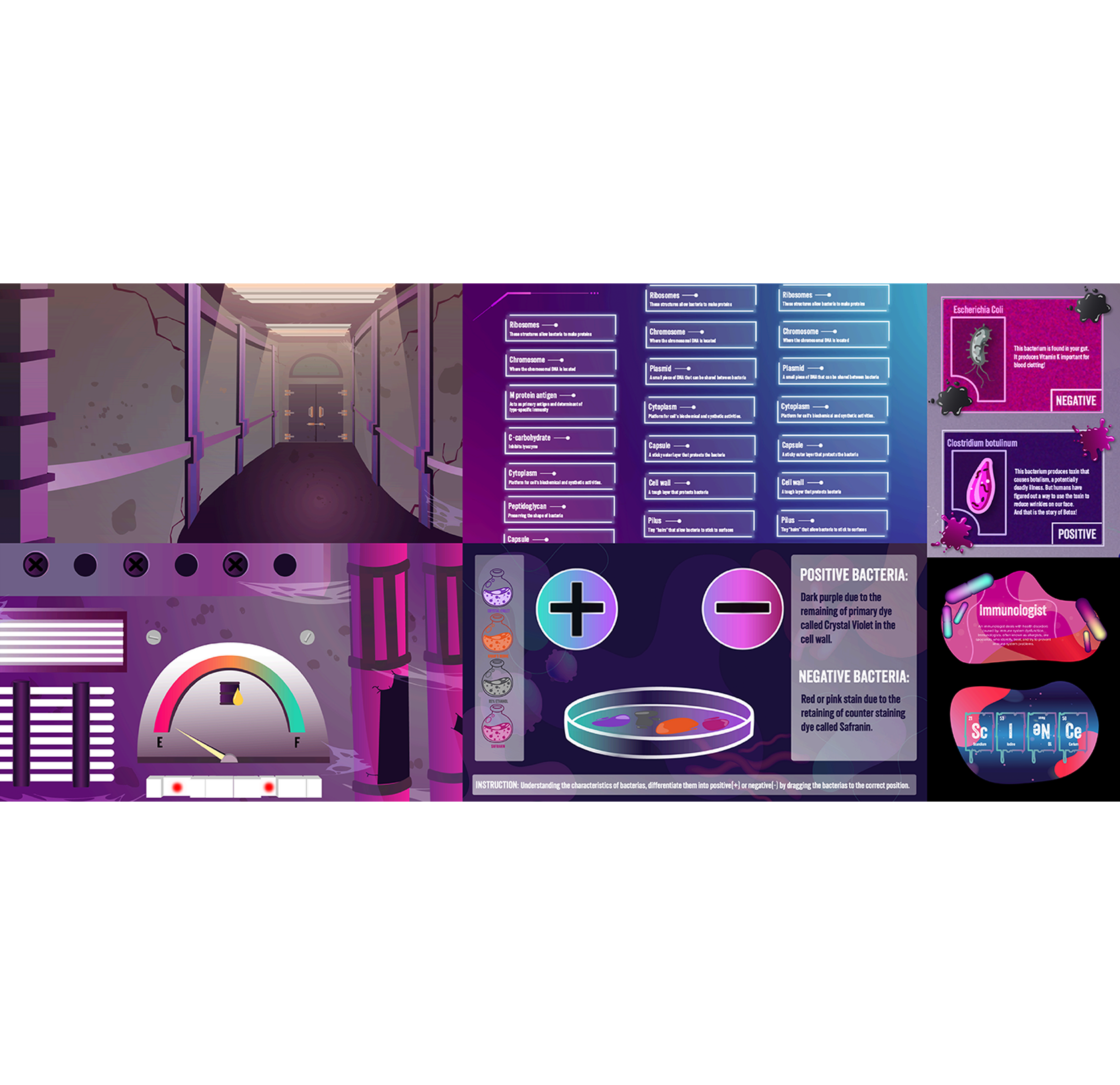 Illustration/Pattern Design Display