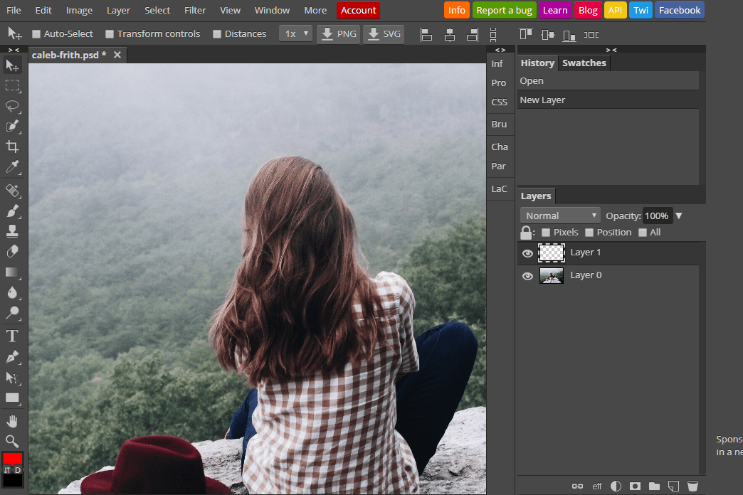 Image Editing